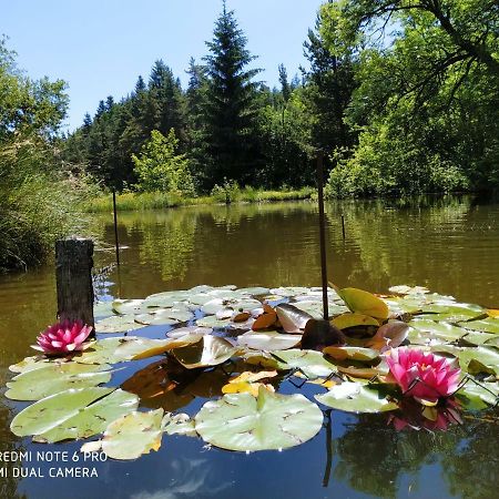 Appartamento ReSource Le Chambon-sur-Lignon Esterno foto