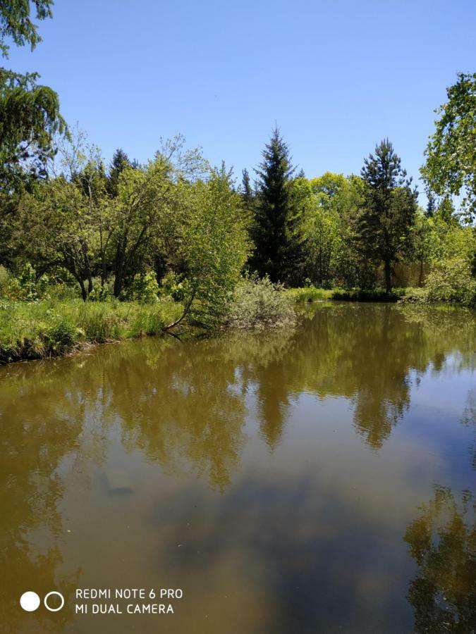 Appartamento ReSource Le Chambon-sur-Lignon Esterno foto